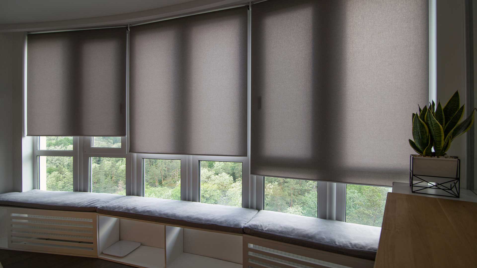 Motorized Shades Living Room