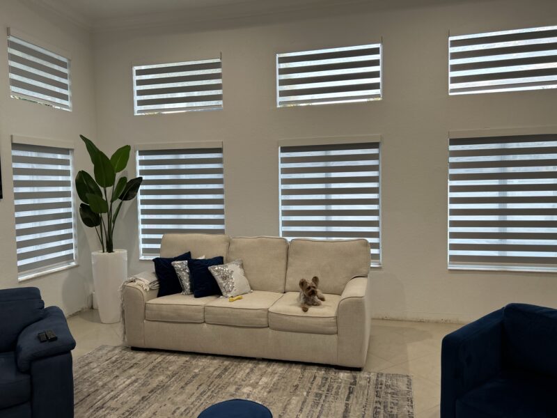 Blinds Zebra Blinds Living Room